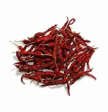 Fresh Dry Red Chilli Dry Red Chilli22-2785903-21261.webp